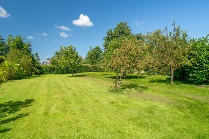 Foto 86 van ter Borchlaan 60