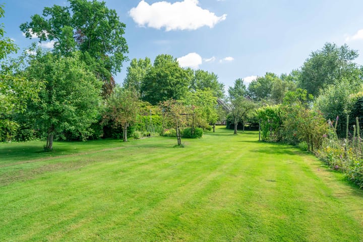 Foto 87 van ter Borchlaan 60