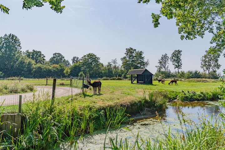 Bekijk foto 6 van Roekebosscheweg 6