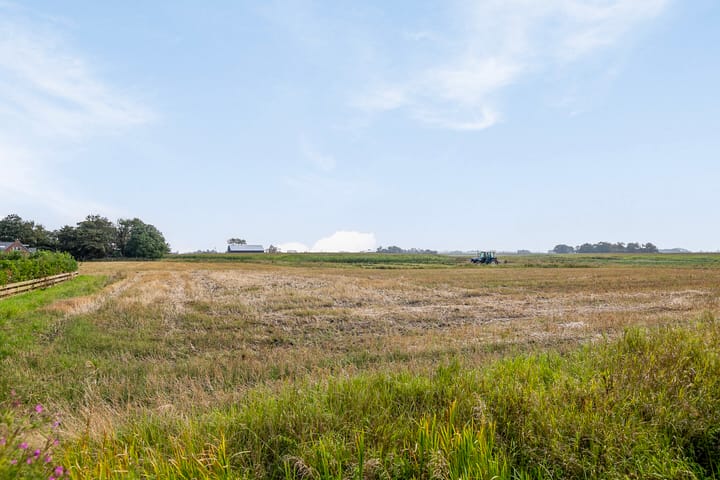 Foto 5 van Fiskbuorren 12