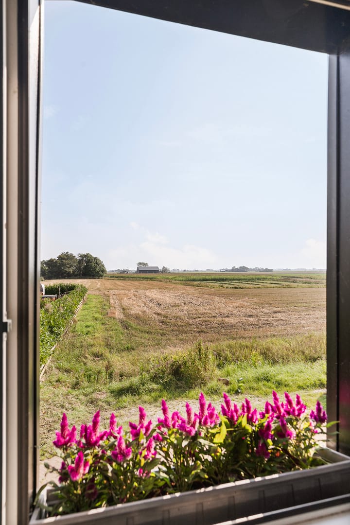 Foto 37 van Fiskbuorren 12