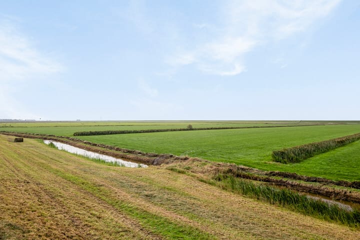 Foto 42 van Fiskbuorren 12