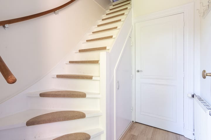 Foto 2 van Molenaar 21