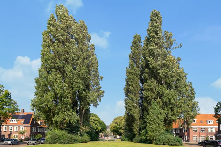 Foto 30 van Radioweg 2-A