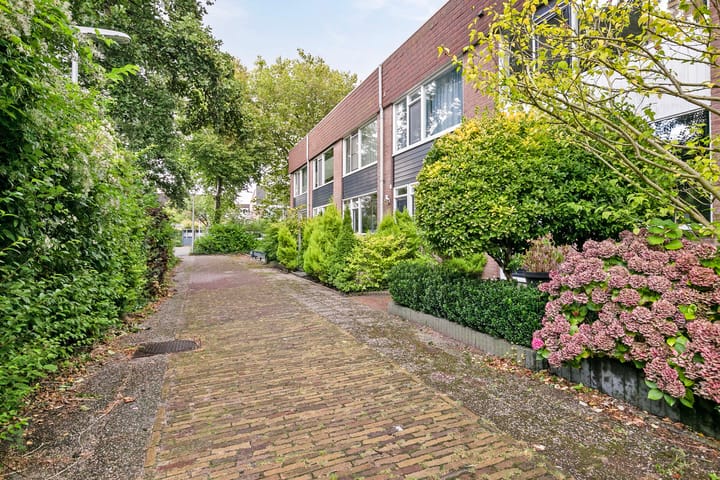 Foto 3 van Robinia 9