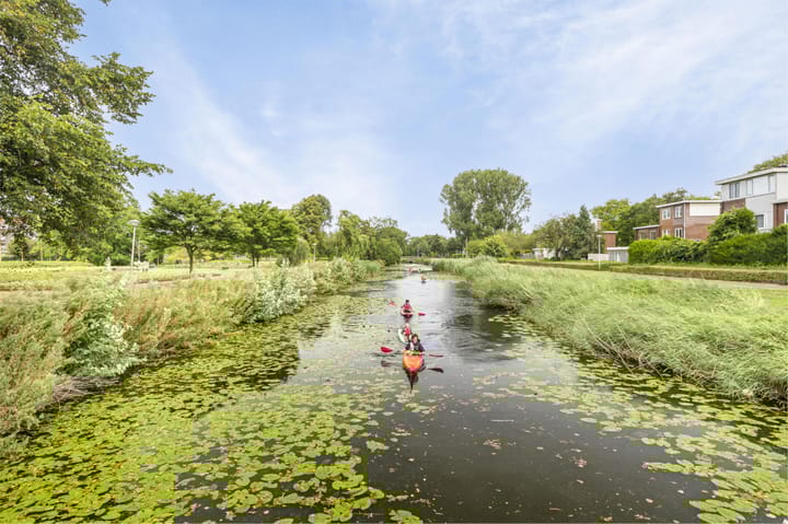 Foto 45 van Thomas à Kempisstraat 51