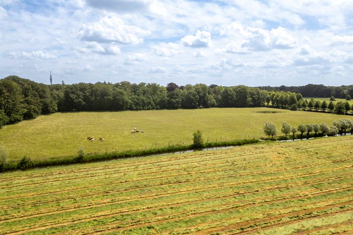 Bekijk foto 26 van Noordereinde 6-D