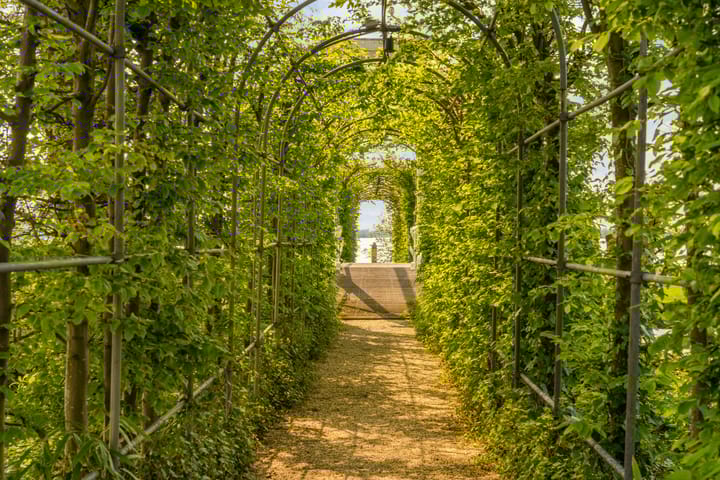 Foto 60 van Groenlandse kade 69