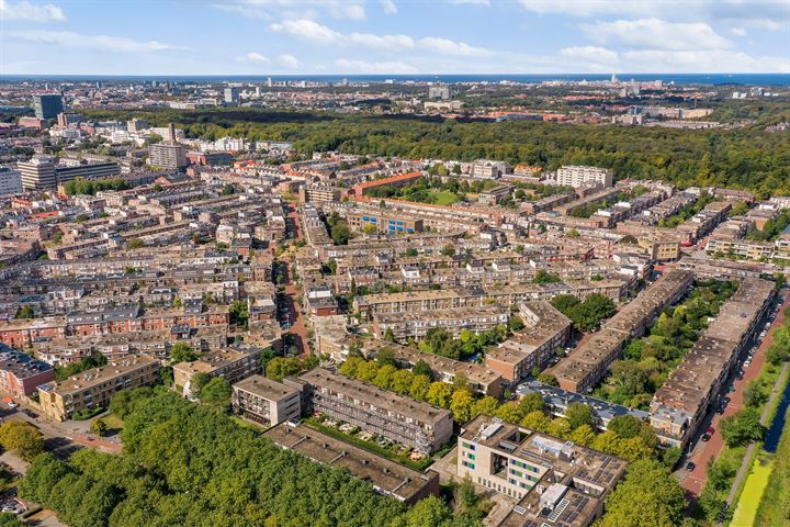 Bekijk foto 35 van Loudonstraat 84