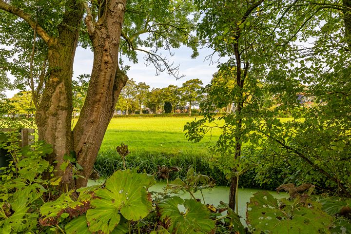 Bekijk foto 41 van Boterdiep Wz 57