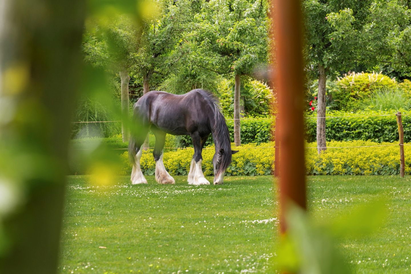 Foto 35 van Bovenstraat 63