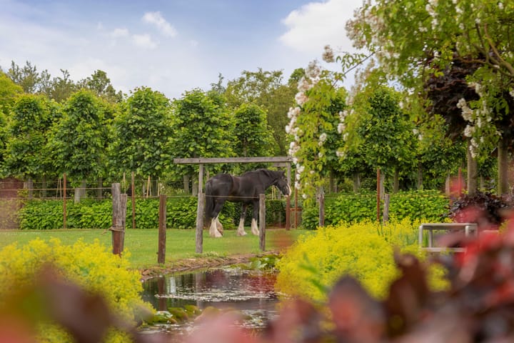 Foto 36 van Bovenstraat 63