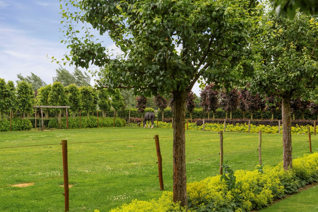 Foto 37 van Bovenstraat 63