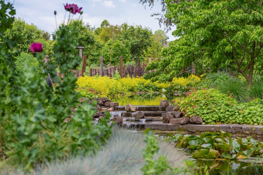 Foto 41 van Bovenstraat 63