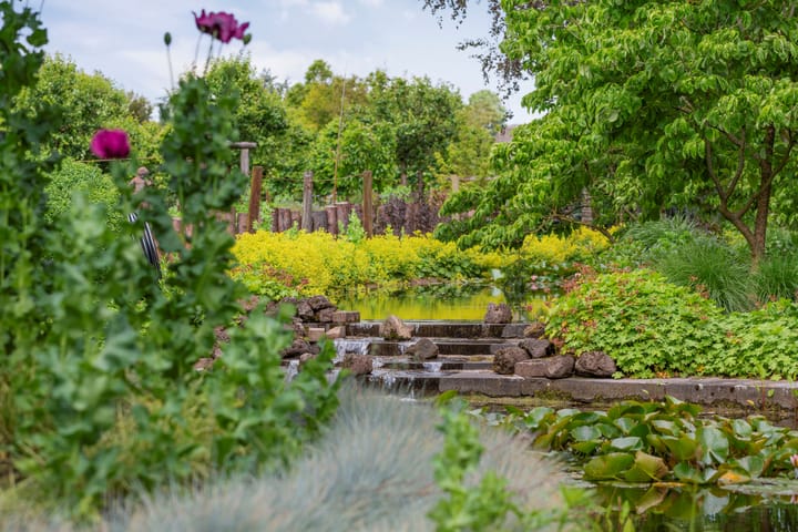 Foto 41 van Bovenstraat 63