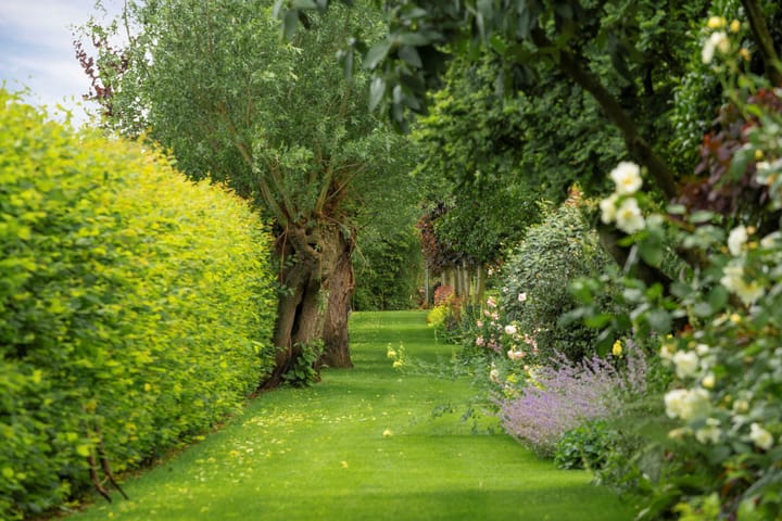 Foto 42 van Bovenstraat 63