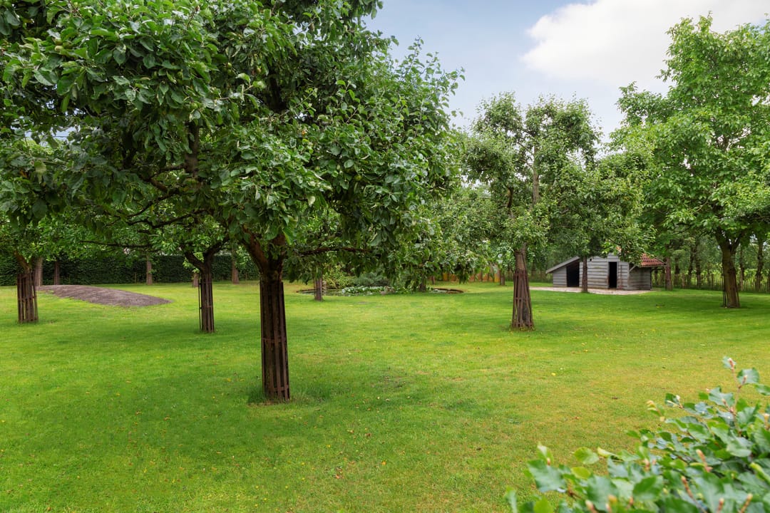 Foto 43 van Bovenstraat 63