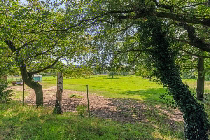 Photo 54 of Rutjensstraat 3