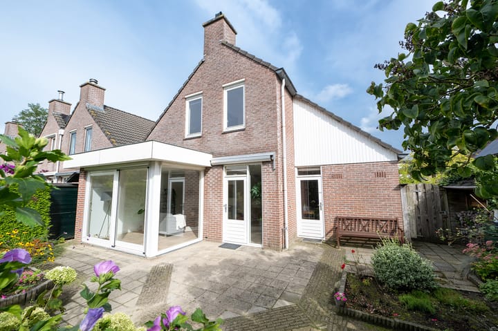 Foto 1 van IJsvogelvlinder 33