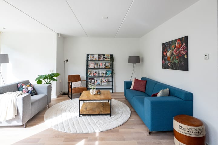 Foto 4 van IJsvogelvlinder 33