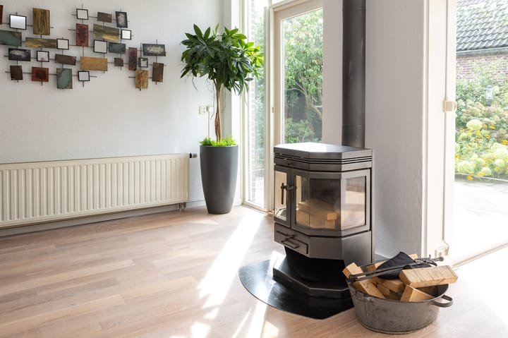 Foto 8 van IJsvogelvlinder 33