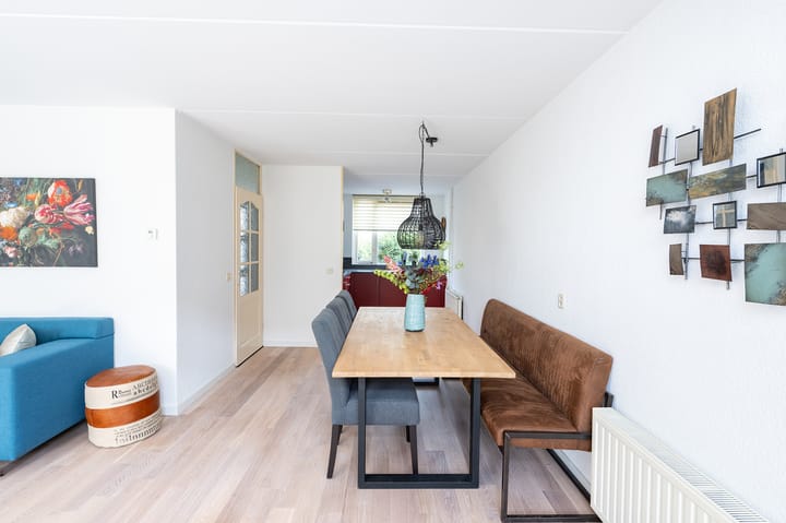 Foto 10 van IJsvogelvlinder 33