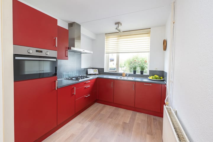 Foto 13 van IJsvogelvlinder 33