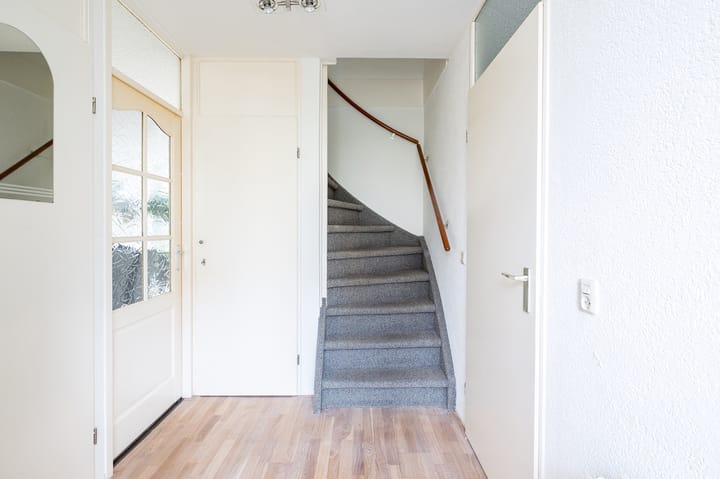 Foto 16 van IJsvogelvlinder 33