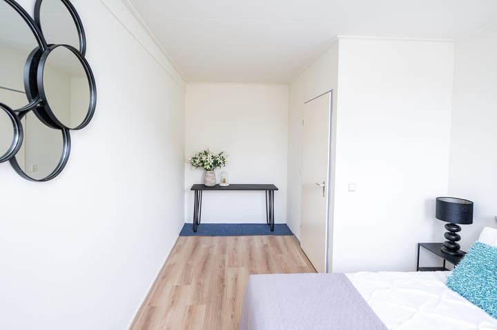 Foto 18 van IJsvogelvlinder 33