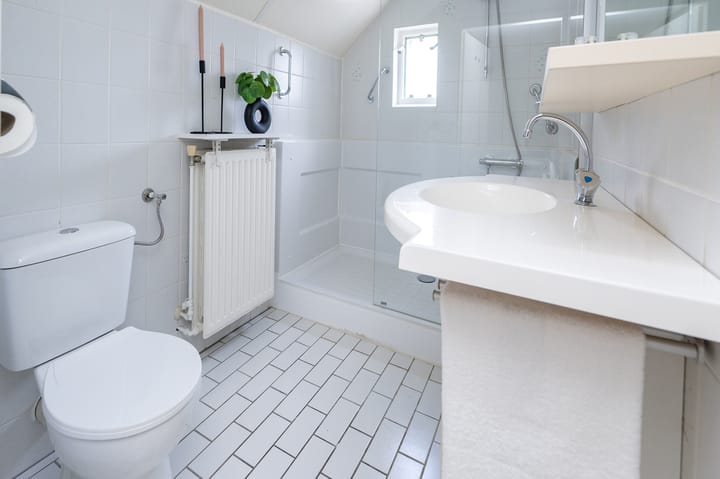 Foto 23 van IJsvogelvlinder 33