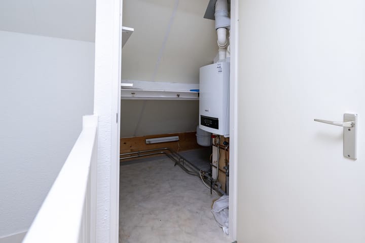 Foto 24 van IJsvogelvlinder 33