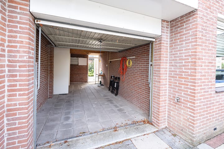 Foto 26 van IJsvogelvlinder 33