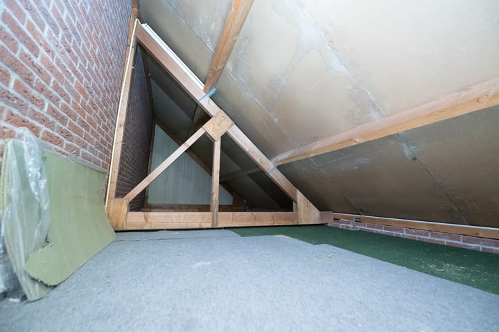 Foto 27 van IJsvogelvlinder 33