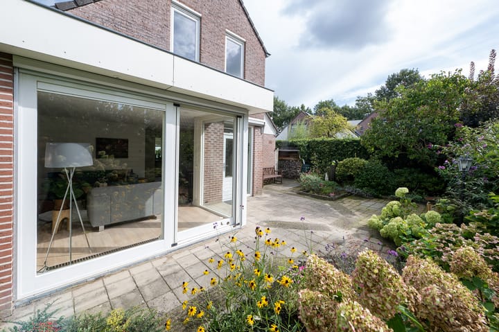 Foto 28 van IJsvogelvlinder 33