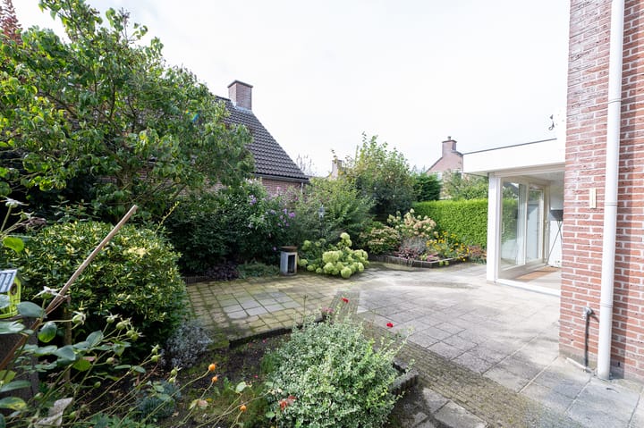 Foto 29 van IJsvogelvlinder 33