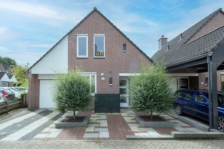 Foto 30 van IJsvogelvlinder 33