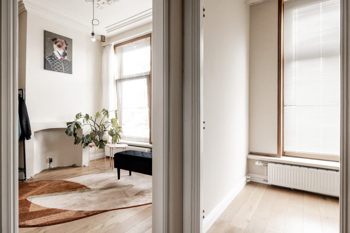 Foto 30 van Wouwermanstraat 45