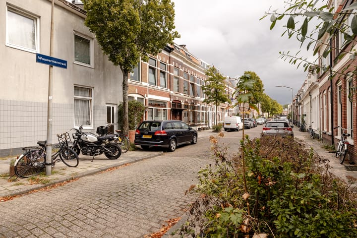 Foto 42 van Wouwermanstraat 45