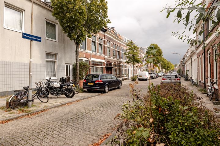 Bekijk foto 42 van Wouwermanstraat 45