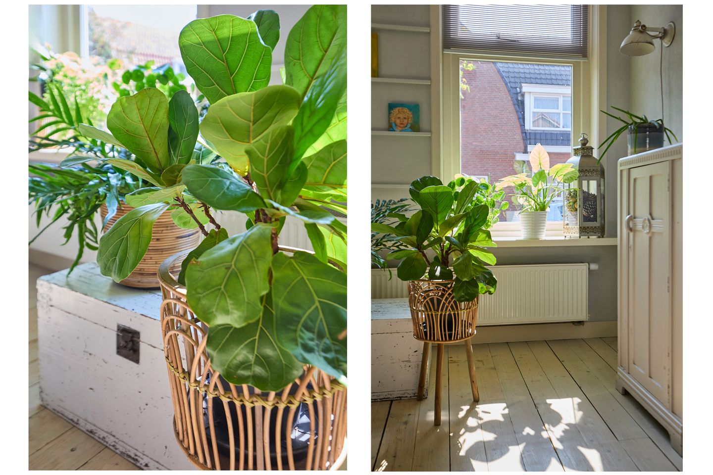 Foto 14 van Piet Heinstraat 68