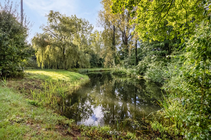 Bekijk foto 29 van Groningensingel 1143