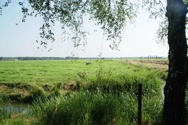 Foto 5 van Ravenswaaijsesteeg 49