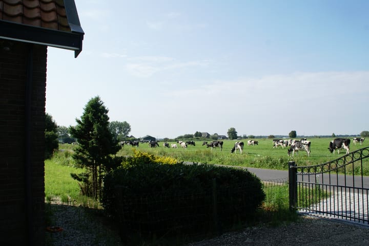 Foto 6 van Ravenswaaijsesteeg 49