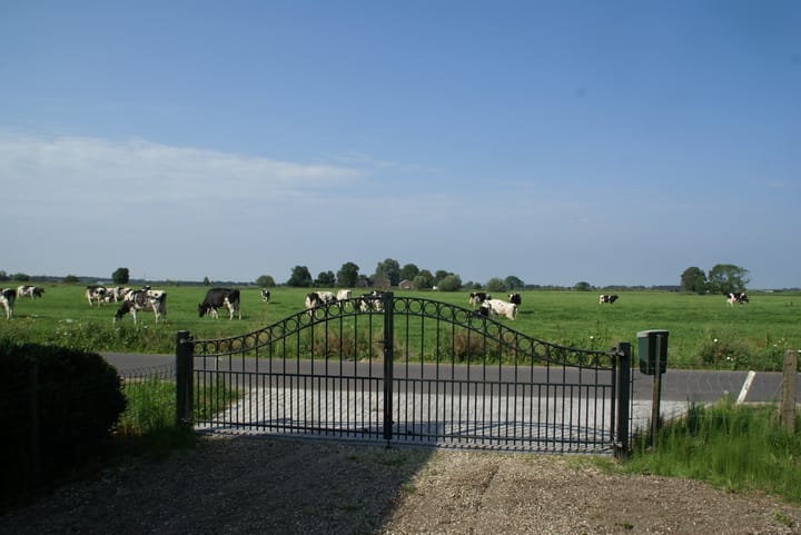 Foto 7 van Ravenswaaijsesteeg 49