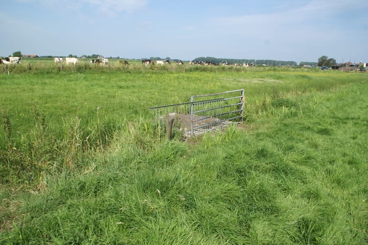 Foto 25 van Ravenswaaijsesteeg 49