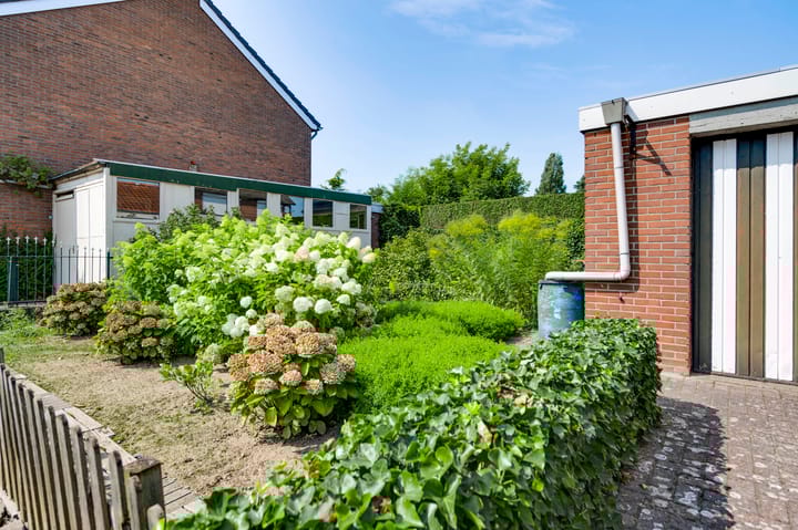 Foto 8 van Muncadostraat 4