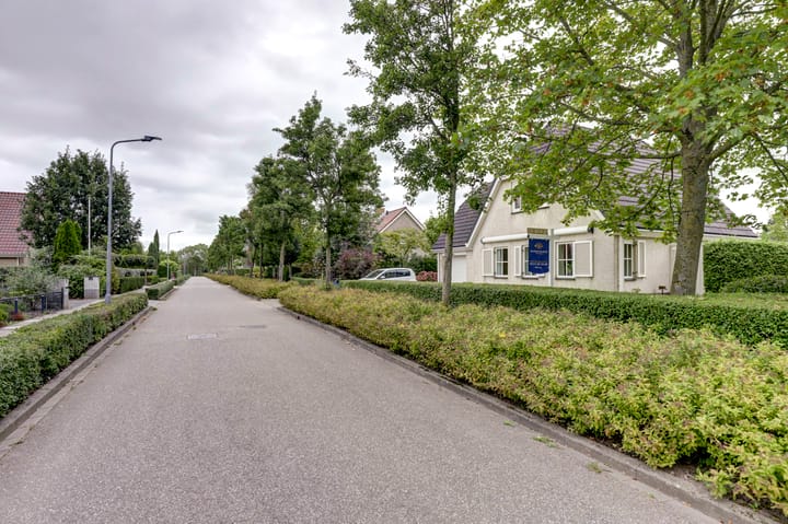 Foto 47 van Anna van Saksenlaan 2