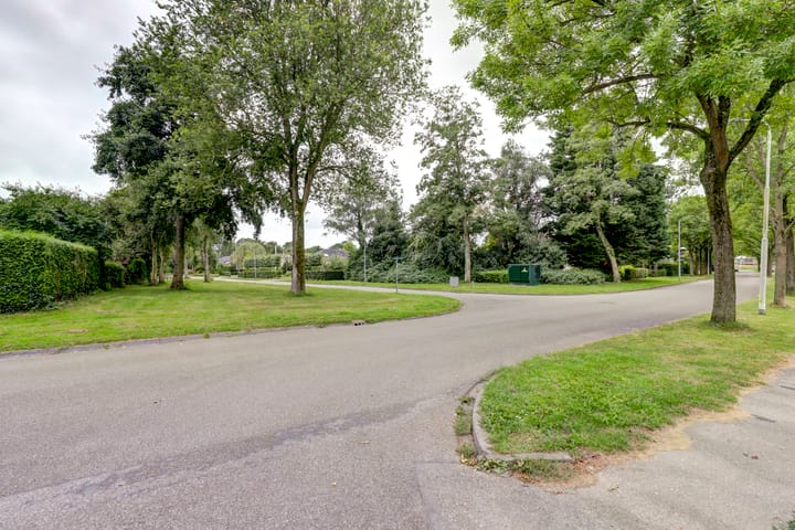 Foto 44 van Anna van Saksenlaan 2