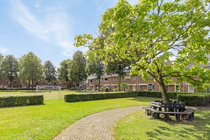 Foto 31 van Orion 16