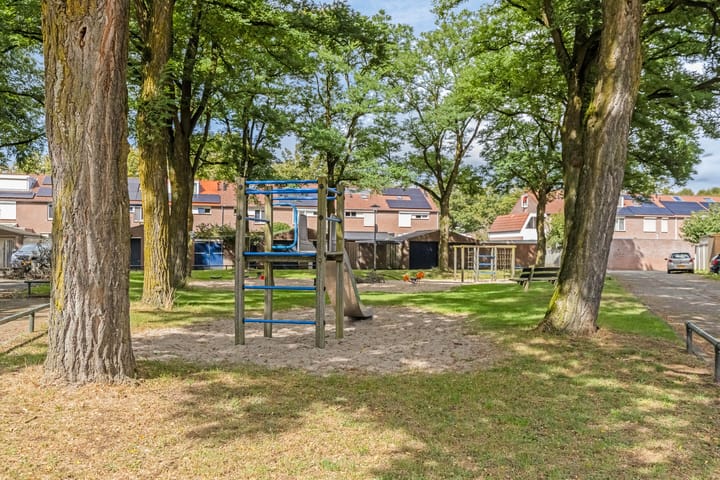 Foto 32 van Orion 16